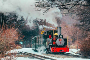 Tierra del Fuego: National Park & End of the World Train