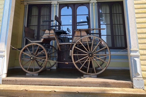 Valdivia: Historical and Natural City Tour