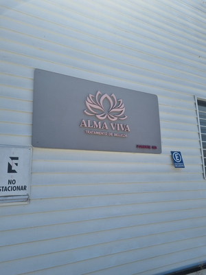 Alma Viva Masajes Viña del Mar
