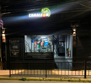 Camaleon 2.5