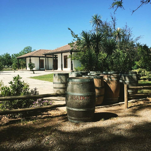 Casa Donoso Winery