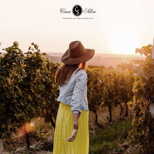 Casa Silva Winery