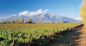Casablanca Valley