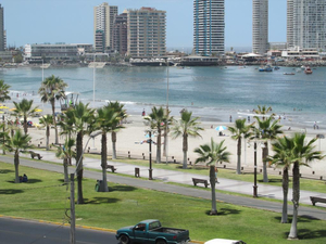 Playa Cavancha
