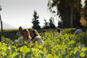 What to do in Santiago