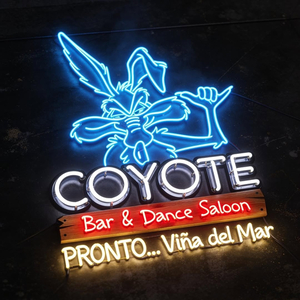 Coyote Beach Viña del Mar