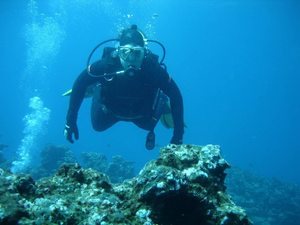 Diving