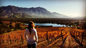 El Principal Winery