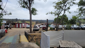 El sauce restaurant