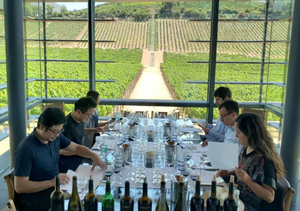 Errazuriz Winery