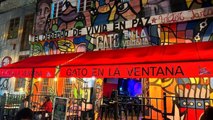 Gato En La Ventana