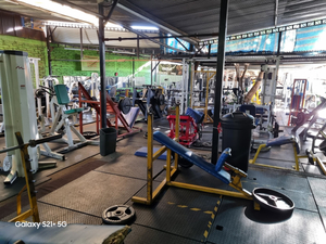 gimnasio bodybuilding gym san felipe