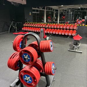 Gimnasio Fitnex