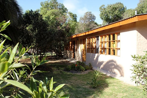 Hostal el arbol beach