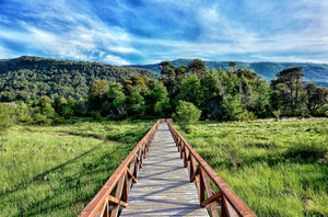 Laguna del Laja National Park
