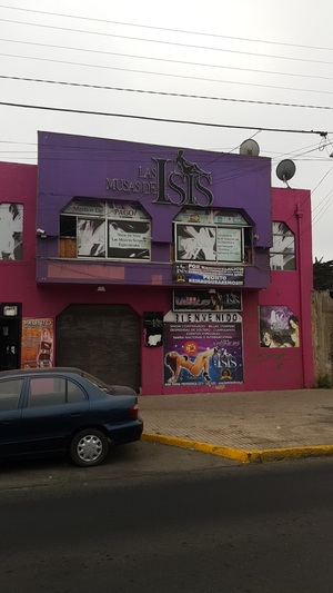 Las Musas de Isis - Cafe Venus
