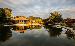 Matetic Vineyards