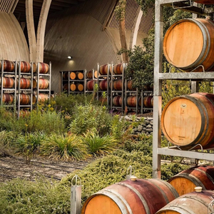 Perez Cruz Bodega