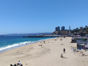 Playa Caleta Portales