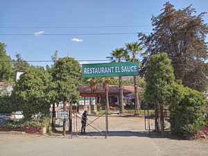 Restaurant y Hotel El Sauce