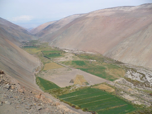 Shrimp Valley