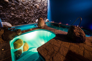 SPA Del Bosque