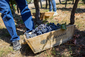 Viu Manent Winery