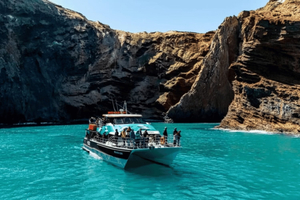 Christchurch : visite d'une journée à Akaroa avec croisière nature