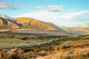 Arthur's Pass: TranzAlpine Train and Castle Hill Day Tour