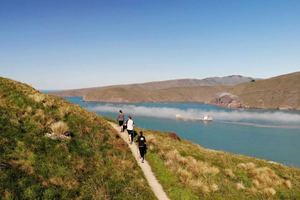Christchurch: passeggiata guidata sul bordo del cratere con vista sulla costa