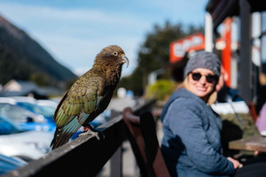 Dagstur till TranzAlpine, Arthurs Pass och Castle Hill med lunch