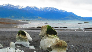 Le charme de Kaikoura