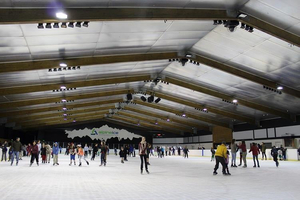 Alpine Ice Sports Centre