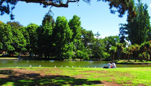 Ashburton Domain y Jardines