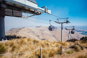 Best Sightseeing Tours In Christchurch