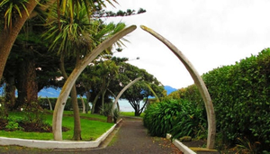 Jardín de Recuerdos - Kaikoura