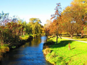 Hagley Park