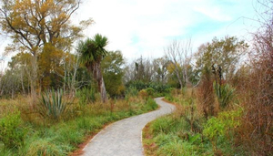 The Styx Mill Conservation Reserve