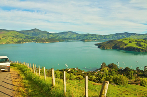 Wildside Discovery Tours