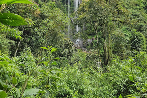 Bogotá: Visit Colombia's Highest Waterfalls & Guadalupe Hill
