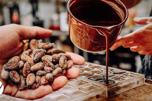 Cacao Experience Tour