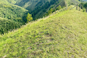 Cali: wędrówka do Jorobas de Camello, widoki i kąpiel w rzece
