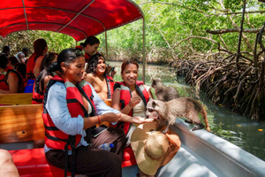 Cartagena: Playa Tranquila + Snorkel e Encontro com Guaxinins