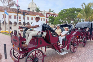 Cartagena: Private Electric Car Ride, Guide, and Photos