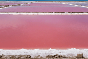 CARTAGENA: Totumo Volcano and Galerazamba Salt Flats (Pink Sea) Tour!