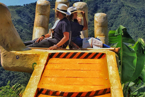 Coffee and Exotic Fruit Tour from Medellín with Lunch.