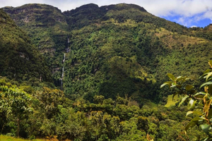 Saindo de Bogotá: Viagem de um dia à Cachoeira La Chorrera e Termas