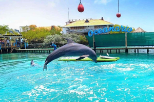 From Cartagena: Full-Day Rosario Islands Tour & Oceanarium