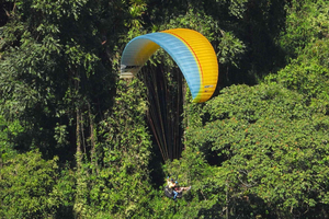 Fra Guatape: Paragliding over Guacaica-jungelen