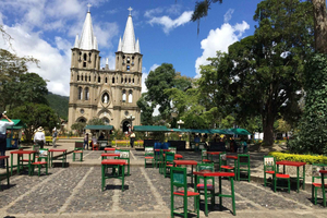 From Medellin: Day Trip to a Jardin Coffee Plantation w/ride